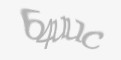 Захисний код